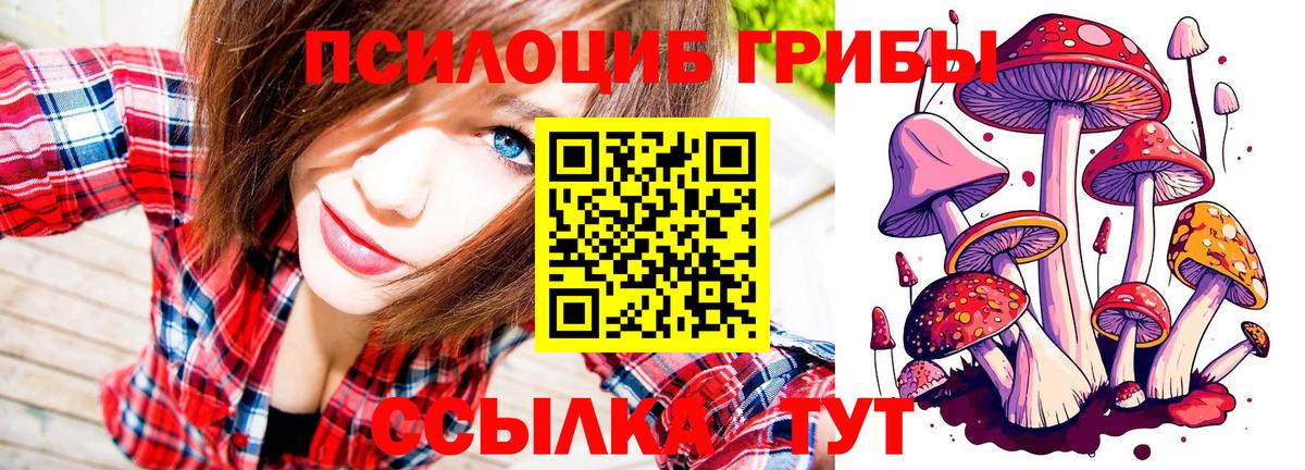 Псилоцибиновые грибы ЛСД  Вход с VPN  Омск 